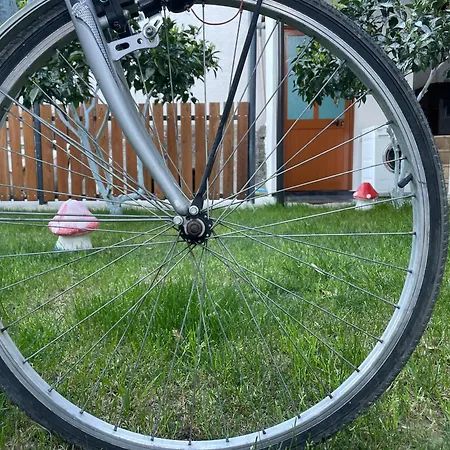 Esanbja Gasthuis Berat